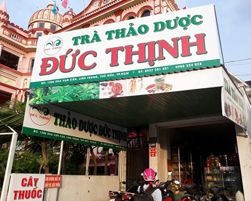 Cách sử dụng cây cát lồi