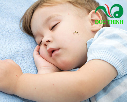 Dầu Tràm trị muỗi cắn