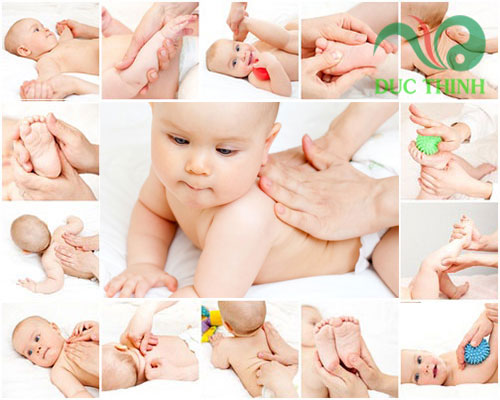 dầu tràm giúp sát khuẩn trị ho