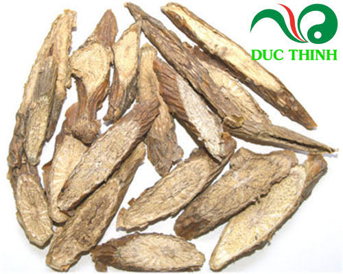 Dây đau xương điều trị đau nhức xương khớp