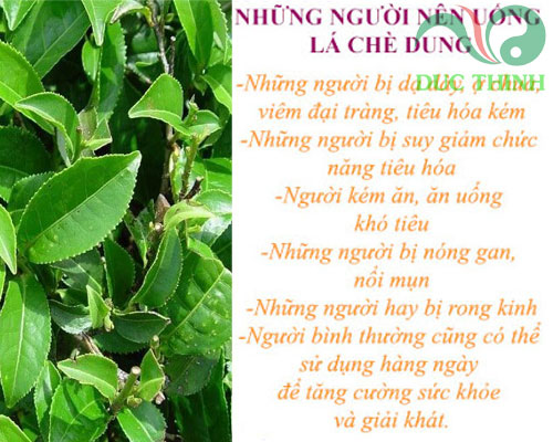 doi_tuong_nen_su_dung_che_dung