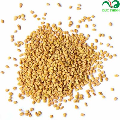 Hạt Methi Ấn Độ hỗ trợ điều trị bệnh tiểu đường