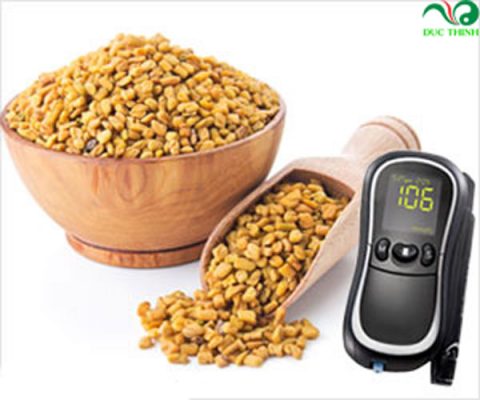 hạt methi Ấn Độ hỗ trợ điều trị tiểu đường