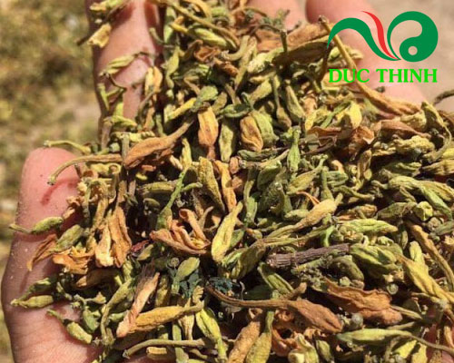 Hoa đu đủ đực phơi khô 