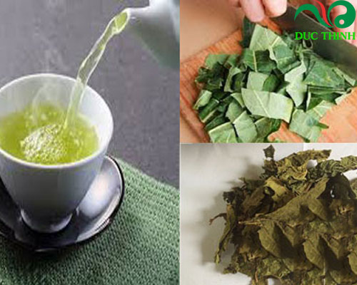 Cách sử dụng lá đu đủ đực