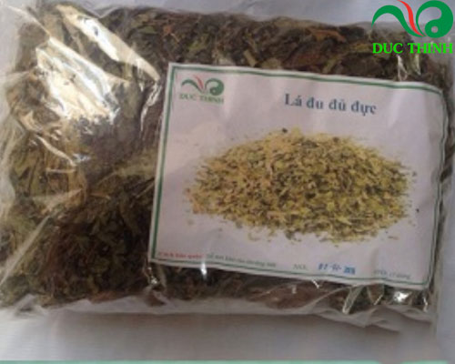 uống nước lá đu đủ đực có tác dụng gì