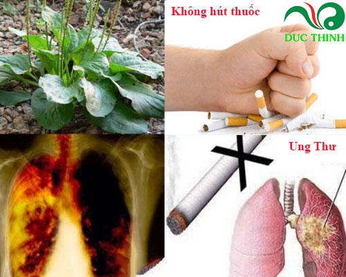 la_ma_de_giup_cai_thuoc_la