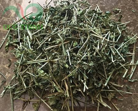 lá xương khỉ khô dùng để pha trà