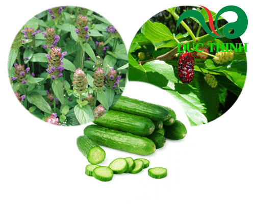 cach_dung_ha_kho_thao_lam_dep_da