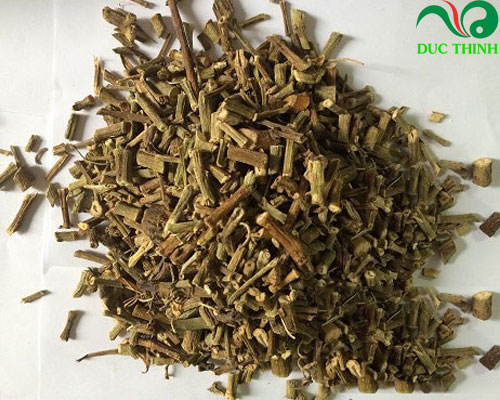 Cách sử dụng cây chìa vôi
