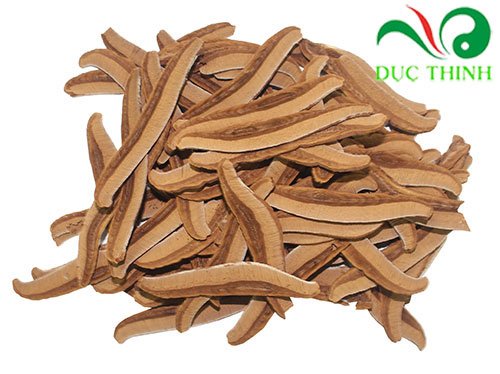 Công dụng của nấm vân chi