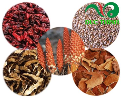 Nhục thung dung hỗ trợ điều trị suy nhược thần kinh