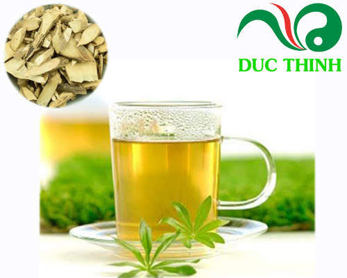 cach_dung_cay_bach_dong_nu