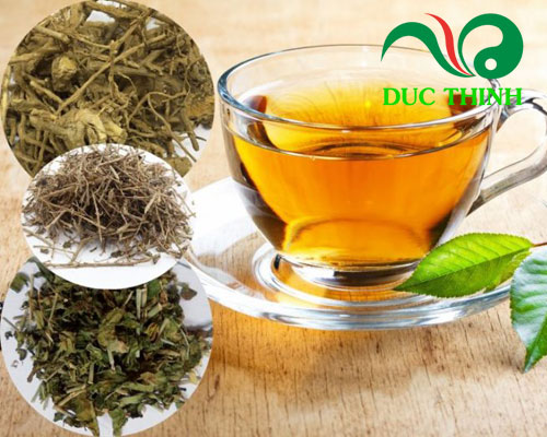 Nước sắc rễ cà gai leo 