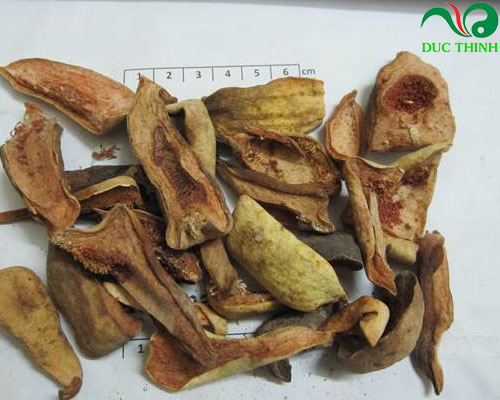 Tác dụng của quả trâu cổ