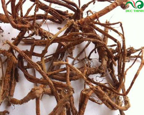 rễ dâu tằm khô