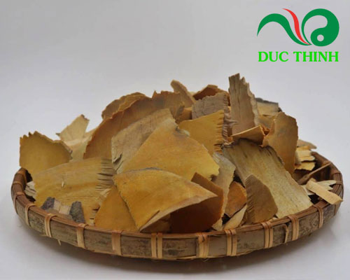 Rễ nhàu có tác dụng gì ?