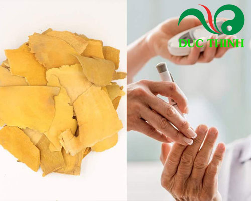 Rễ nhàu trị bệnh tiểu đường