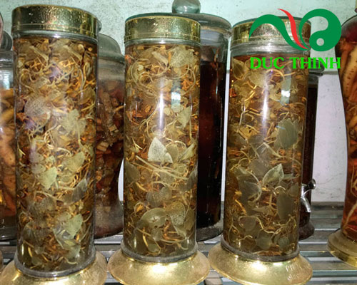 Rượu cỏ kim tuyến