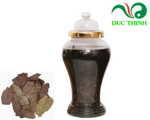 rượu ngâm dâm dương hoắc
