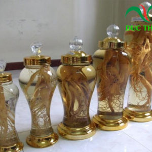 rượu rễ đinh lăng
