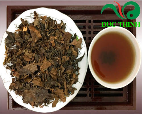 Nước sắc cây sói rừng