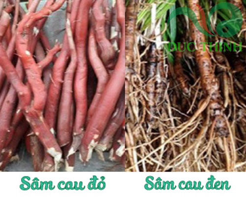 sam_cau_do_sam_cau_den