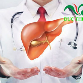 lá gan khỏe mạnh