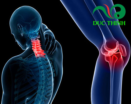 Cách sử dụng cây cát lồi