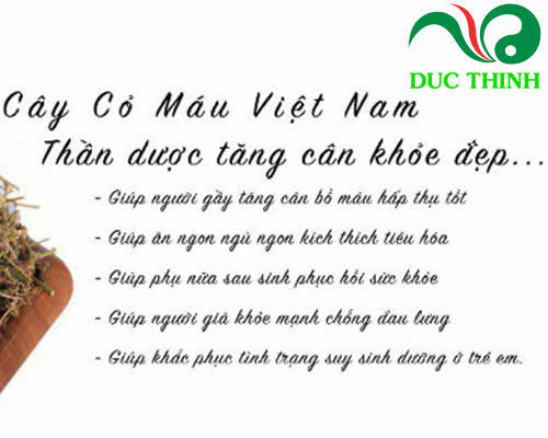 Cây cỏ máu