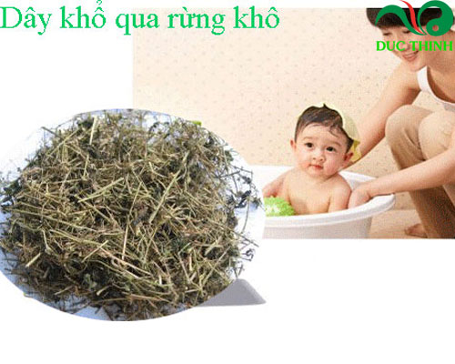 bán dây khổ qua rừng