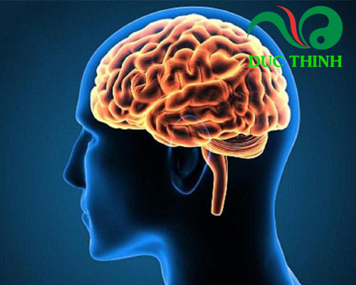 Tác dụng của kim ngân hoa