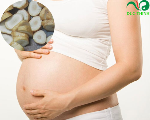 Rễ củ gai giúp an thai hiệu quả