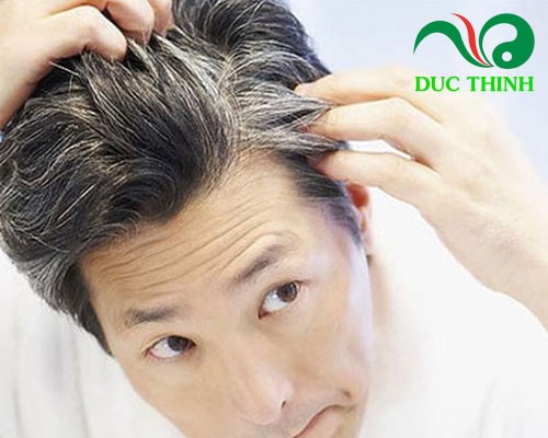 Tác dụng của tinh chất hà thủ ô