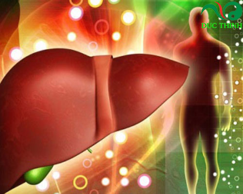 tra_hoan_ngoc_ho_tro_dieu_tri_benh_gan