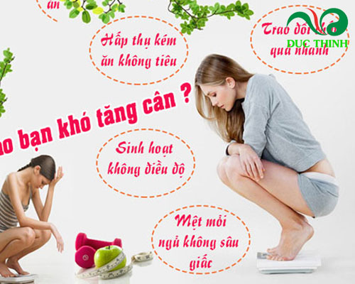 cây cỏ máu