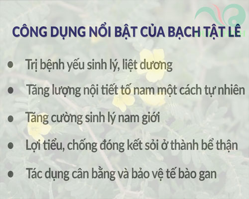 cong_dung_cua_bach_tat_le