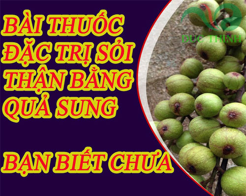 tac_dung_cua_qua_sung