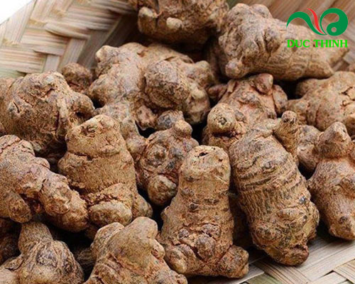 Tác dụng của tam thất bắc