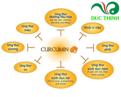 thanh_phan_hoat_chat_chinh_co_trong_tinh_bot_nghe