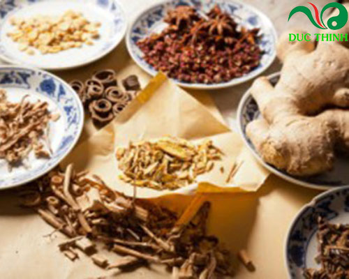 thành phần của tinh chất hà thủ ô