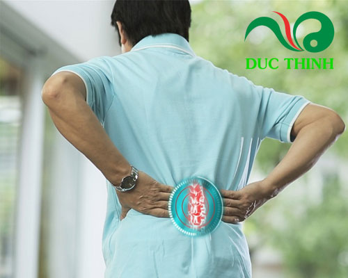thiên niên kiện có tác dụng gì