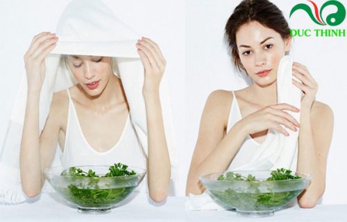 thuốc nam trị mụn đức thịnh