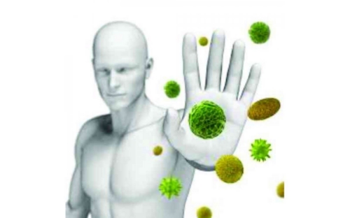 Trà cung đình huế giúp tăng cường sức đề kháng