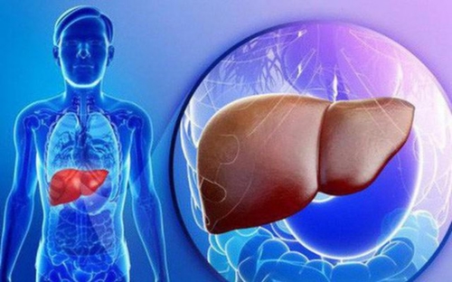 Trà cung đình huế giúp thải độc gan