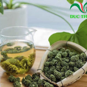 trà hoa tam thất non