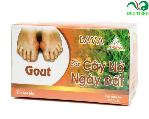 trà nở ngày đất LaVa