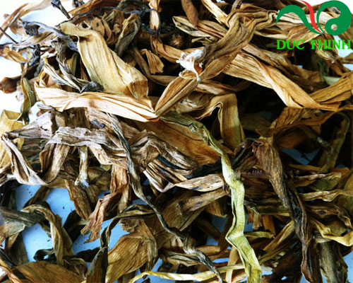 trinh nữ hoàng cung có tác dụng gì