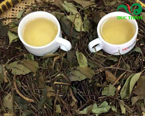 Uống chè vằng như thế nào để giảm cân sau sinh