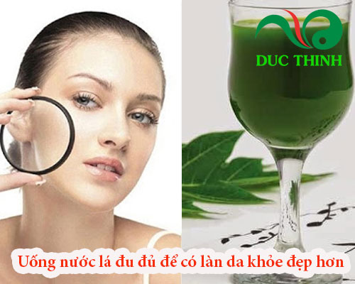 Lá đu đủ đực giúp có làn da khỏe đẹp hơn 